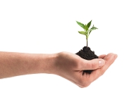 インプラントとは