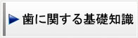 歯に関する基礎知識